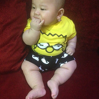 ��ȫ���̰֡�+���ȶ���+�ְֱ�