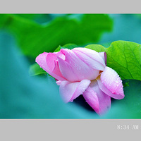 �������պɻ�