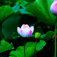 ·������