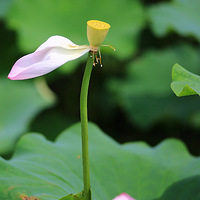 ������ɫ