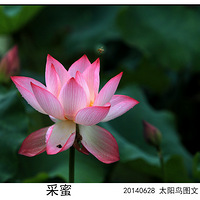 ��Ϫ����ɻ���6.28��