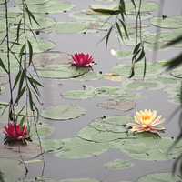 ��������