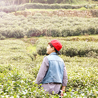 �ں����ϴ�ѧ�ĵ�һЩ������