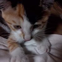 Сè���䣬��������˵������ҵ��䱦��