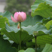 ���кɻ� 14.6.30