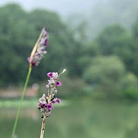 ���߱���