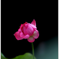 �͹٣����Ƿ�������ϵ�����ɣ�