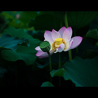 ���� �� ��