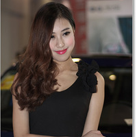 2013�꺼�ݴ�����չ��ģ��