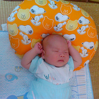 ����˯�ˡ�С���ɳ�·