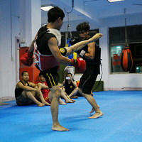 ���Ϲ����ݱ�������ɢ�������Ӱ