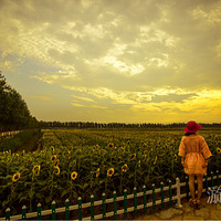 �������ˣ��������ľ��ˡ������壬���տ�