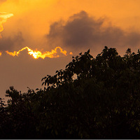 ����ħ����������