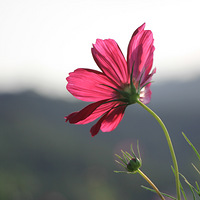 һ��һ����