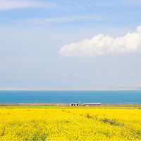 ���ڵĹ���