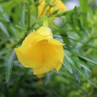 �豸���˸���������Ч����Σ�����