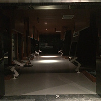 �㳡�ĺɻ����̵ġ�