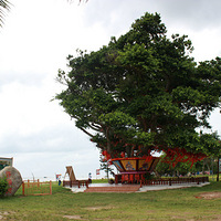 ������̲��԰����ɳ��ϸһ�㣬����ûɶ��д�