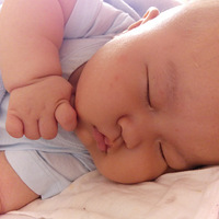 ����˯�ˡ������������С�ֶճ��ɰ�˯�ˣ���