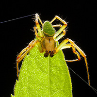 2014��7��΢��