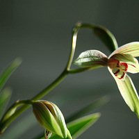 ��һ��������