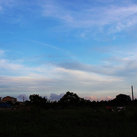 ��ϼ������ǰ�쵵ģ�������������Ұ�ϻ���ţ�ڳԲݡ���