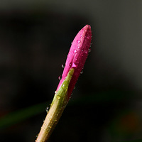 �ٿ��Ĵ���