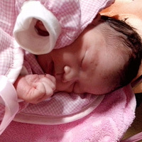 ����˯�ˡ�POSE�󼯺�