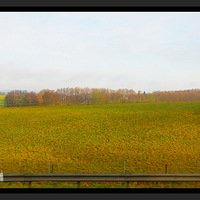 ������ԭҰ֮��������ŷ����--���š�