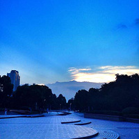 ������ͷɢ����û�����ֻ���ֻ����ˣ���ͼ������