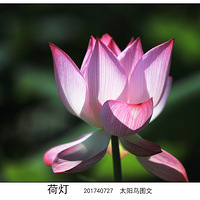 �����ĺ�