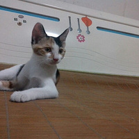 Сè���䣬���ڿ�ʲô