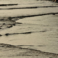 ��ɽ��԰�ճ���Ӱ