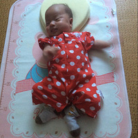 �������ռǡ�����������