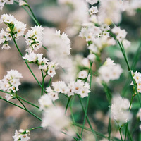 ֮ǰ�ĵ�Ƭ��ϣ����Щ�������ۺû�