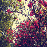 ��ô��רҵ���ᱻש������