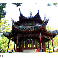 ����ӡ��