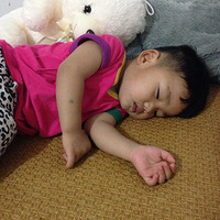 ���������� Ҫ���׶�԰��