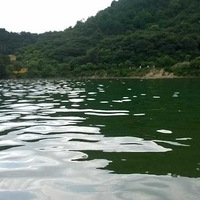 ����������������������Ӿ��