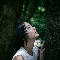 ����������Ʒ������ص㣺������ɽ��԰