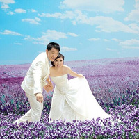 �������ռǡ�С�����ɿɼݵ�~~