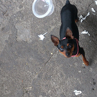 С����ʧ~������̨�������ǰ�æ��·�Ͽ���~�ҵ���л��