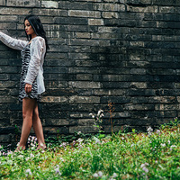 ������еĽ�Ƭɫ Ҳ����