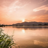 ���ٺ����-����ҹɫ��