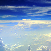 ɭ���еĹż�