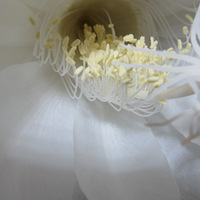 ���ҵ�꼻�