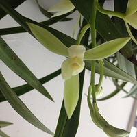 ���ҵ�������