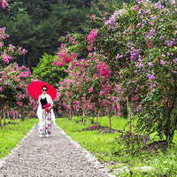 �����������δ�Ѱ����ޱ����������!��