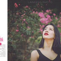 ��ޱ���� -------------- ������Ӱ