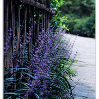 ����̫����